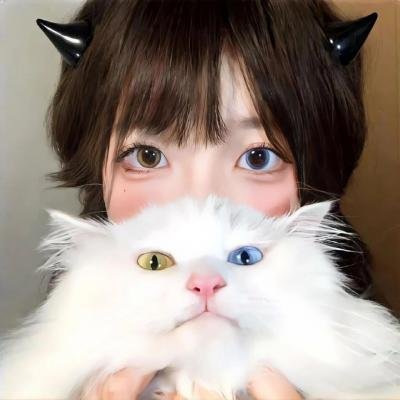 拜见宫主大人